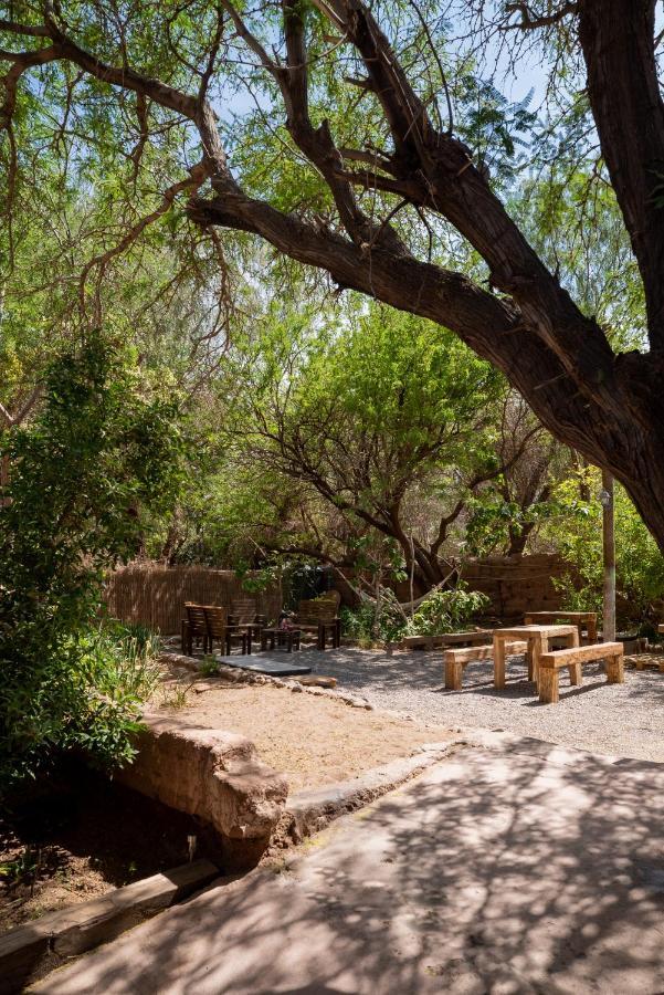 Vientos - La Yareta Guest House ซานเปโดร เด อาตากามา ภายนอก รูปภาพ