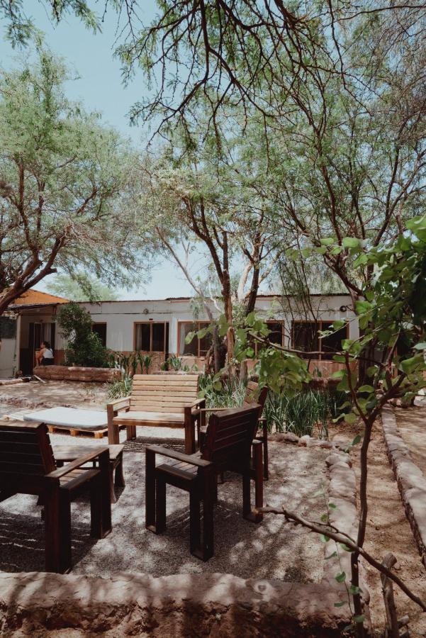 Vientos - La Yareta Guest House ซานเปโดร เด อาตากามา ภายนอก รูปภาพ